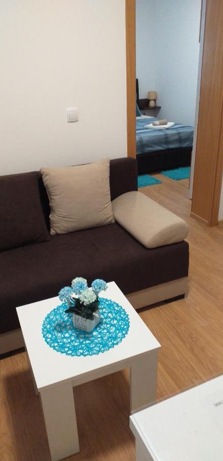 Apartman Golubovic เวลิโก กราดิชเต ภายนอก รูปภาพ